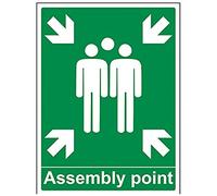 vsafety 17018bc-r fuego montaje punto Inglés, Punto de Reunión con familia, plástico rígido, vertical, 300 mm x 400 mm, verde