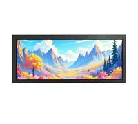 VSDISPLAY Monitor LCD IPS de barra estirada de 12.3 pulgadas, 1920 x 720 850 nits, puerto de tarjeta USB, compatible con reproducción automática, rotación de 270 grados