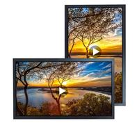 VSDISPLAY Monitor LCD TFT para Publicidad de 18.5 Pulgadas, 1920x1080, reproducción automática con USB, rotación de 270 Grados