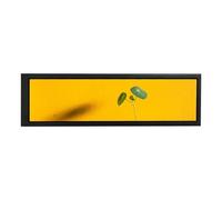 VSDISPLAY Monitor Negro de 8.8 Pulgadas, 1920x480, 600 nits, IPS estirado Monitor LCD de Barra, Puerto de Video USB, para subpantalla DIY o Pantalla para PC