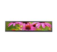 VSDISPLAY Pantalla de barra ancha estirada IPS de 24 pulgadas 1920 x 360 para armario de monitor de marquesina de juegos, monitor publicitario de estante de supermercado con interfaz de video USB