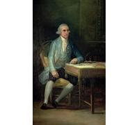 VsoxA Famoso Lienzos Modernos Lienzos Decorativos Retrato de Don Francisco De Saavedra por Francisco De Goya para Decoración de Paredes 60x90cm