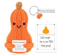 Vspek Calabaza Positivo, Positiva Muñeco de Ganchillo con Tarjeta Motivadora y Llavero, Muñecas de Punto Creativas Regalo Divertido para Mujer, Hombre, Parejas, Amigos, Cumpleaños, Decoración Hogar