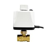 VSPPJYFG Válvula de Bola motorizada Normalmente Cerrada de latón de 2 Hilos, 1/2", 3/4", 1" y 2", con Interruptor Manual, 220 V, 12 V y 24 V(220VAC-DN50)