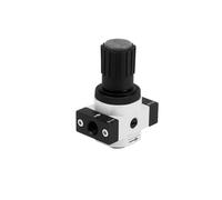 VTCTYBPGBW Válvula Reductora de presión de diafragma de acción Directa Original LR-1/8-DOI-MINI 192304