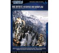 VUE Infinite: Interface and Workflow Vue Explorations with Ethan Summers