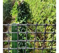 VUIKLCty Malla de Alambre Negra en Rollo for Valla de jardín, Plantas, Verduras, Flores, Tela metálica de plástico, Valla de Seguridad for construcción(1x10m(3.3x32.8ft))