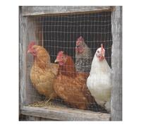 Vuiyean Cubierta magnética de gallinero y gallinas para lavavajillas, hoja de 58,4 x 66 cm, cubierta magnética decorativa para la parte delantera del lavavajillas, imanes de puerta, panel de nevera