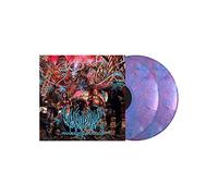 Vulvodynia - Praenuntius Infiniti [Vinilo]