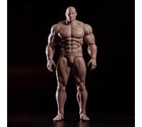 VUSLB 1/12 Escala Hombre Super Flexible Militar Body Model 6 Pulgada Strong Muscle Comic AD01 Man Action Figurn Doll Collectible