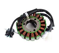 Vuzmode Bobina de estator motocicleta, for YBR250 2007-2011 YS250 YBR 250 YS D1-H1410-00 5D1-H1410-01 magnética del generador Válvula de control electrónico para bicicletas