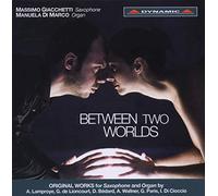 VV.AA. - Between Two Worlds