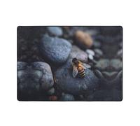 VVXBHGR Bee on a rock Prints Alfombra de área de 80 x 58 pulgadas para sala de estar, oficina, mesa de café, cama, balcón, suave, esponjosa, absorbente de agua, duradera