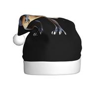 VVXBHGR El sombrero de Navidad con estampado de dinosaurios gigantes para adultos es suave y ligero