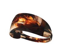 VVXBHGR Fallen Leaves in the Light - Diadema elástica para ejercicio para hombres y mujeres, suave, de secado rápido