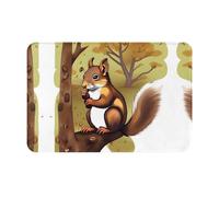 VVXBHGR Felpudo de 40,6 x 61 cm con estampado de ardilla que come nueces, absorbente de agua, antideslizante, para puertas delanteras, entradas y baños