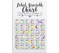 VWWJCCRO How Big Is Our Fetal Growth Chart Poster Pregnancy Nursery Decor Bump Weekly Wall-Art for Mom Dad(Framed,08x12inch(20x30cm))