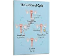 VWWJCCRO Menstrual Cycle Ovulation Hormone Levels Poster Womens Reproductive Health Guide Educational Canvas Wall-Art Living Room Bedroom Decor(Unframed,12x18inch(30x45cm))