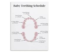 VWWJCCRO Newborn Teething Calendar Poster First Tooth Guide Pediatric Health Living Room Wall Print(Framed,12x18inch(30x45cm))