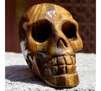 VWWJCCRO Polished Yellow Tiger's Eye Quartz Crystal Stone Carved Skull (Size : 800-850g)