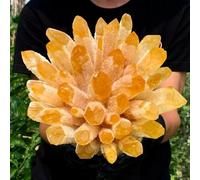 VWWJCCRO Stone Yellow Phantom Quartz Crystal Cluster (4100-4800g)