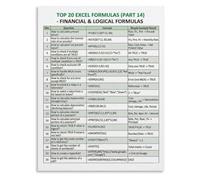 VWWJCCRO Top 20 Excel Formulas Cheat Sheet Poster Financial Modeling Logic Testing NPV IRR XNPV XIRR Wall Decor(Framed,16x24inch(40x60cm))