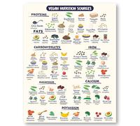 VWWJCCRO Vegan and Vegetarian Food Guide - High Protein Low-Carb Nutrition Chart, Informative Poster & Quick Reference for Kitchen or Office Decor(Unframed,08x12inch(20x30cm))