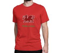 VXCEVF Welsh As FCK Men's White Yellow Black Red Mens Women T Shirt 100% Cotton28716(Large)
