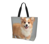 VXXNlnn Coloridas chanclas con estampado de pelota de playa, bolsa grande reutilizable para mujer, bolsa de almacenamiento para compras, viajes y vida diaria, Bonito Corgi dorado, Talla única