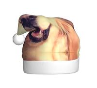 VXXNlnn Sombrero festivo de Navidad para adultos, sombrero de Papá Noel unisex con bonito diseño de perro Golden Retriever, perfecto para Navidad, fiestas de vacaciones