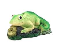 Vynetra Decoración de peceras para decoración de paisajes subacuáticos, resinas para acuarios, adornos para experiencias coloridas de peceras