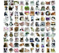 VYNZOR 100 piezas pegatinas gatos pegatinas de gatos cute stickers calcomanías divertidas para gatos impermeables para amantes de los gatos botellas de agua álbumes de recortes teléfono