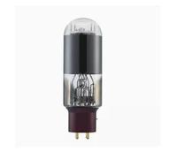VZJIUOJW Rectificador de Tubo de vacío A+R+T 845 Actualización de Tubo de vacío WE845 E845 845B 845T Tubo electrónico de válvula de Audio de Alta fidelidad(1pcs)