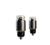 VZJIUOJW Rectificador de Tubo de vacío KT66 GE/GC Reemplazo de Tubo electrónico Tubo de vacío KT88/6L6(Kt66 Gc,1 Set)