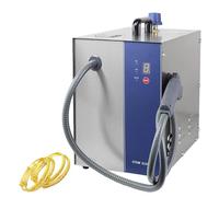 VzxCrue MáQuina Limpiadora A Vapor para Joyas, MáQuina Limpiadora A Vapor Profesional para Gemas,PresióN De Vapor De 4 Kg,Estudios Y Uso DoméStico Y En El AutomóVil Handheld