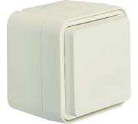 W.1 Base 2P+Z IP55 blanca WNC100B-Precio por juego
