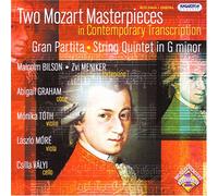 W.a. Mozart - Masterpieces in Contemporary Transcriptions