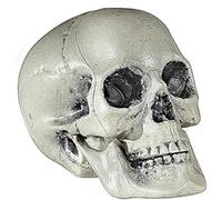 W WIDMANN MILANO Party Fashion - 01379 - Calavera de plástico, 21 cm, decoración para fiestas, Halloween, carnaval, fiesta temática