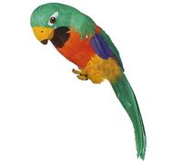 W WIDMANN MILANO Party Fashion - 30742 - Loro con plumas, decoración, accesorio, pirata, fiesta temática, carnaval