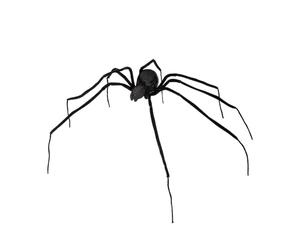 W WIDMANN MILANO Party Fashion - 7817F - Araña viuda negra modelable, 110 cm, araña del terror, Halloween, decoración