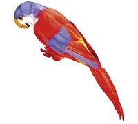 W WIDMANN Sancto Loro Deco para la decoración del Tema del Pirata Fiesta de Traje de Pirata Accesorio Guacamayo Loro del Carnaval del Carnaval