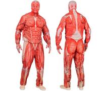 W WIDMANN MILANO Party Fashion - Disfraz de anatomía muscular