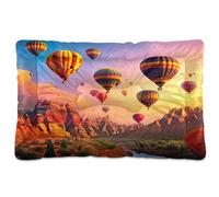 Waassud Flying Hot Air Balloons - Tapete grueso para cama de perro, antideslizante, resistente a los masticables, cama para mascotas, para perros, gatos, suave, lavable, para suelo, sofá, coche, 18 x