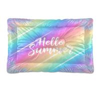 Waassud Rainbow Hello Summer - Tapete grueso para cama de perro, antideslizante, resistente a los masticables, cama para mascotas, para perros, gatos, suave, lavable, para suelo, sofá, coche, 36 x 24