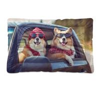 Waassud Two Cool Corgi Dogs - Tapete grueso para cama de perro, antideslizante, resistente a los masticables, cama para mascotas, para perros, gatos, suave, lavable, para suelo, sofá, coche, 36 x 24