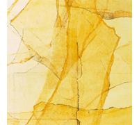 Wadada Leo Smith / Amina Claudine Myers - Central Park‘s mosaics of reservoir, lake, paths and gardens / Wadada Leo Smith & Amina Claudine Myers