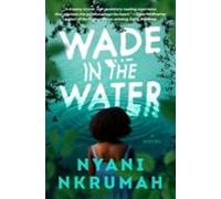 Wade In The Water (ebook)