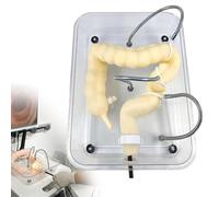 WADPP Simulador de Entrenamiento de Colonoscopia, Modelo de Colon de Silicona Suave y Realista, Escala 1:1 Adulto con Dificultad Ajustable para Formación Médica y Práctica Endoscópica