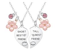 Waeceip 2 collares a juego para mejores amigas, regalos divertidos de amistad para mujeres, mejores amigas, hermanas, Navidad, cumpleaños, Acción de Gracias, amigos, corazón, joyería de amistad a