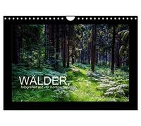 Wälder, fotografiert auf vier Kontinenten (Wandkalender 2026 DIN A4 quer), CALVENDO Monatskalender: Waldlandschaften, fotografiert in Deutschland, USA, Namibia, Südafrika, Tasmanien und Australien